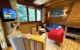 LE SKIEUR Chalet en bois
